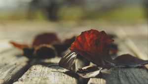 Preview wallpaper leaves, dry, autumn, wood, boards, macro