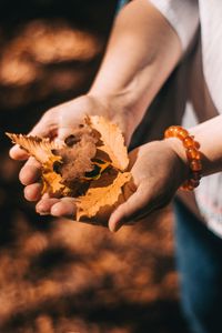 Preview wallpaper leaves, dry, yellow, hands, autumn