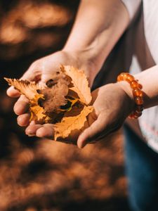 Preview wallpaper leaves, dry, yellow, hands, autumn