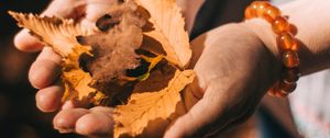 Preview wallpaper leaves, dry, yellow, hands, autumn