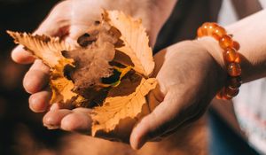 Preview wallpaper leaves, dry, yellow, hands, autumn