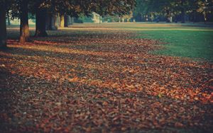 Preview wallpaper leaves, earth, autumn, strips