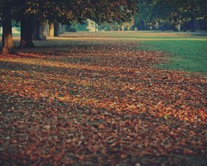 Preview wallpaper leaves, earth, autumn, strips