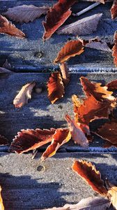 Preview wallpaper leaves, fall, fallen, frost