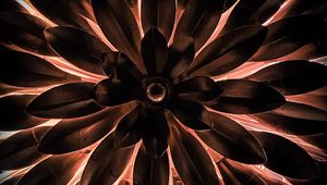 Preview wallpaper leaves, glow, backlight, plant