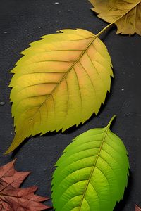 Preview wallpaper leaves, green, brown, autumn, art