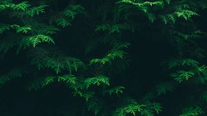 Green 4k uhd 16:9 wallpapers hd, desktop backgrounds 3840x2160, images and  pictures