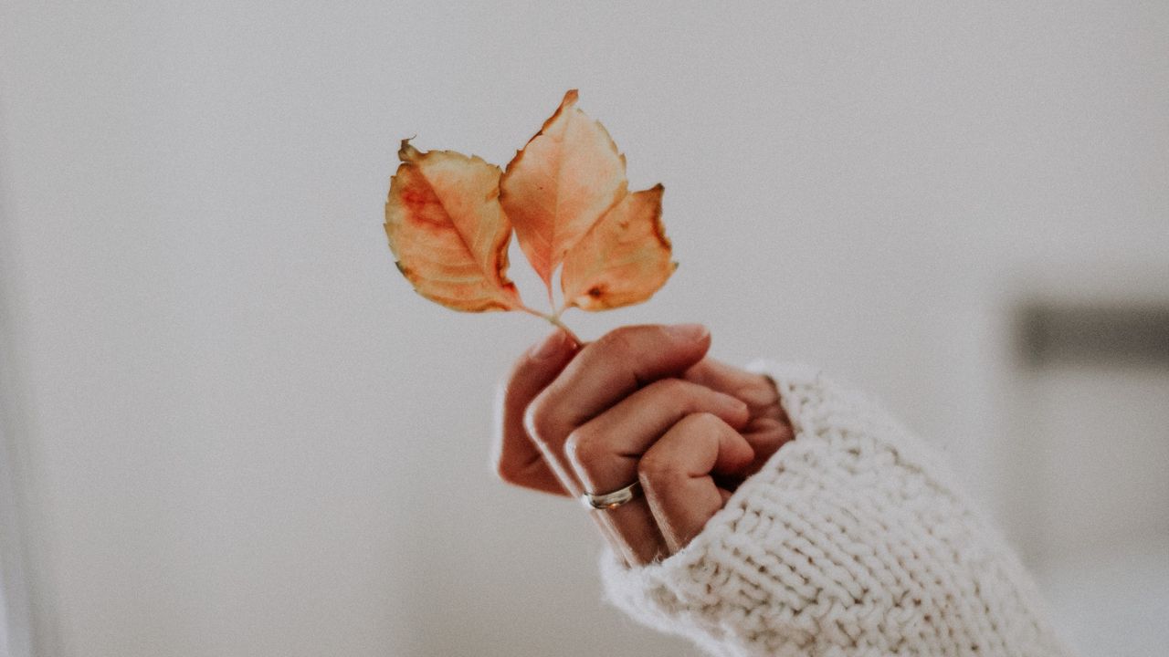 Wallpaper leaves, hand, fingers, sweater, ring