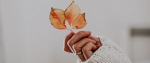 Preview wallpaper leaves, hand, fingers, sweater, ring