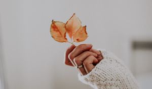 Preview wallpaper leaves, hand, fingers, sweater, ring