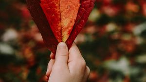 Preview wallpaper leaves, hand, red, dry, autumn