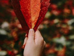 Preview wallpaper leaves, hand, red, dry, autumn
