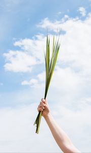 Preview wallpaper leaves, hand, sky, grass