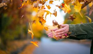 Preview wallpaper leaves, hands, autumn