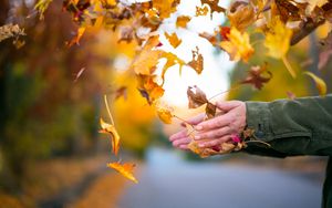 Preview wallpaper leaves, hands, autumn