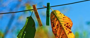 Preview wallpaper leaves, hanging, rope, sky, autumn