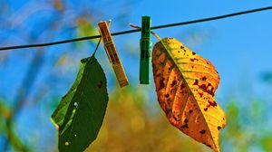 Preview wallpaper leaves, hanging, rope, sky, autumn