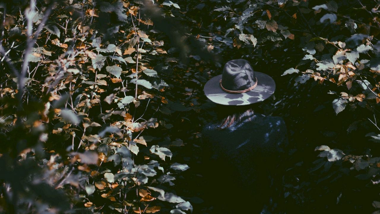 Wallpaper leaves, hat, man, shadow