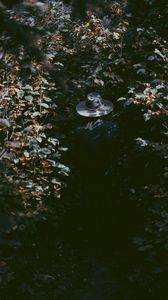 Preview wallpaper leaves, hat, man, shadow