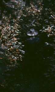 Preview wallpaper leaves, hat, man, shadow