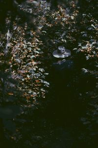 Preview wallpaper leaves, hat, man, shadow