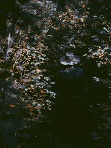 Preview wallpaper leaves, hat, man, shadow