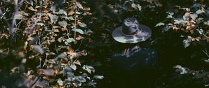 Preview wallpaper leaves, hat, man, shadow