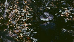 Preview wallpaper leaves, hat, man, shadow
