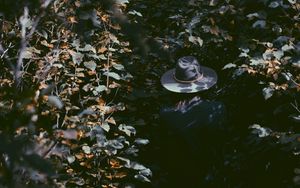 Preview wallpaper leaves, hat, man, shadow