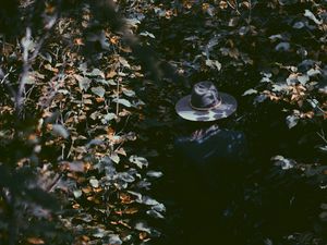 Preview wallpaper leaves, hat, man, shadow