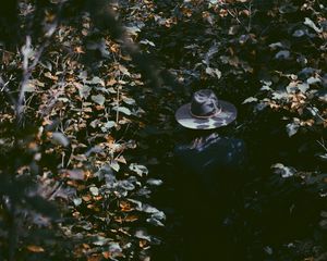 Preview wallpaper leaves, hat, man, shadow