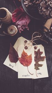 Preview wallpaper leaves, herbarium, autumn