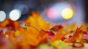 Preview wallpaper leaves, macro, autumn, red, yellow