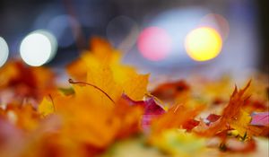 Preview wallpaper leaves, macro, autumn, red, yellow