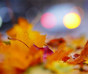 Preview wallpaper leaves, macro, autumn, red, yellow