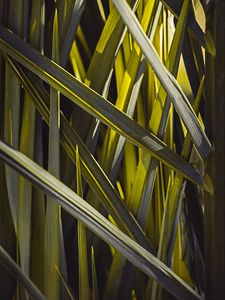 Preview wallpaper leaves, macro, grass, green