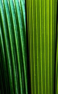 Preview wallpaper leaves, macro, stripes, lines, green