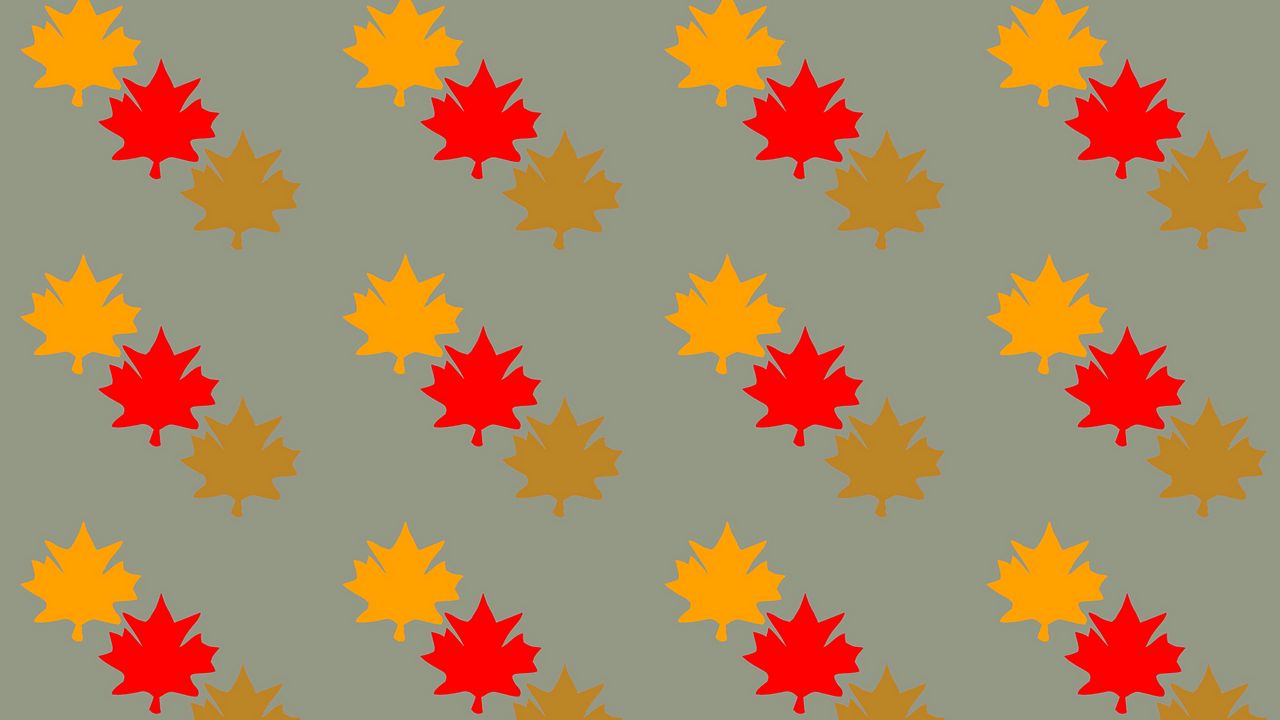 Wallpaper leaves, maple, autumn, patterns, texture