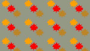 Preview wallpaper leaves, maple, autumn, patterns, texture
