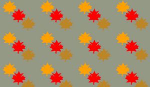 Preview wallpaper leaves, maple, autumn, patterns, texture