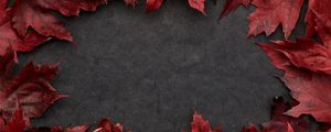 Preview wallpaper leaves, maple, autumn, macro, gray
