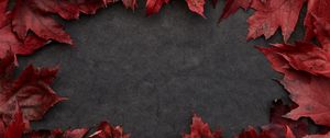 Preview wallpaper leaves, maple, autumn, macro, gray