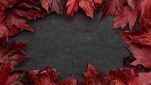 Preview wallpaper leaves, maple, autumn, macro, gray