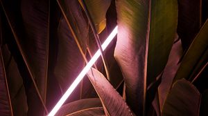 Preview wallpaper leaves, neon, light, line, glow