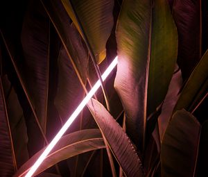 Preview wallpaper leaves, neon, light, line, glow