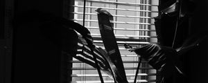 Preview wallpaper leaves, plant, blinds, bw, aesthetic