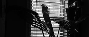 Preview wallpaper leaves, plant, blinds, bw, aesthetic