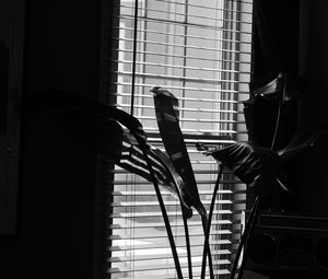 Preview wallpaper leaves, plant, blinds, bw, aesthetic