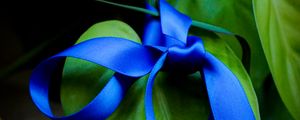 Preview wallpaper leaves, plant, bow, macro, blue, green, dark