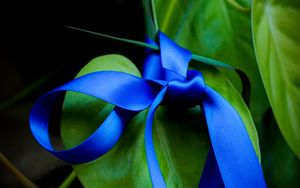 Preview wallpaper leaves, plant, bow, macro, blue, green, dark